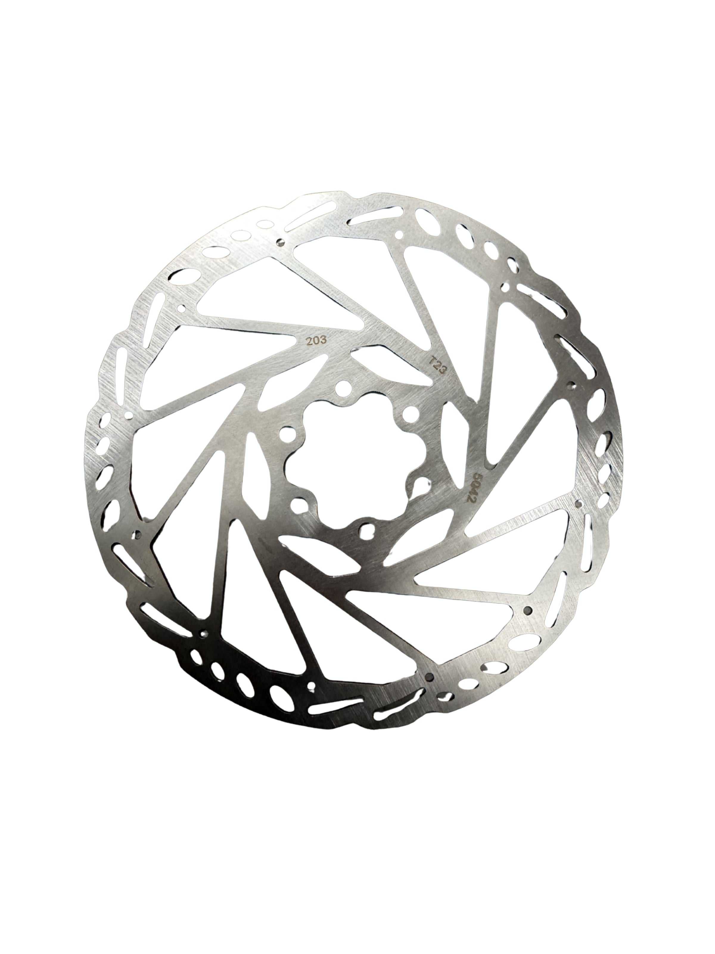 R1+ Rear Brake Disc