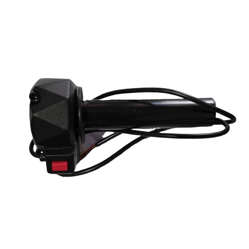 R1 Electric Throttle (10kw)